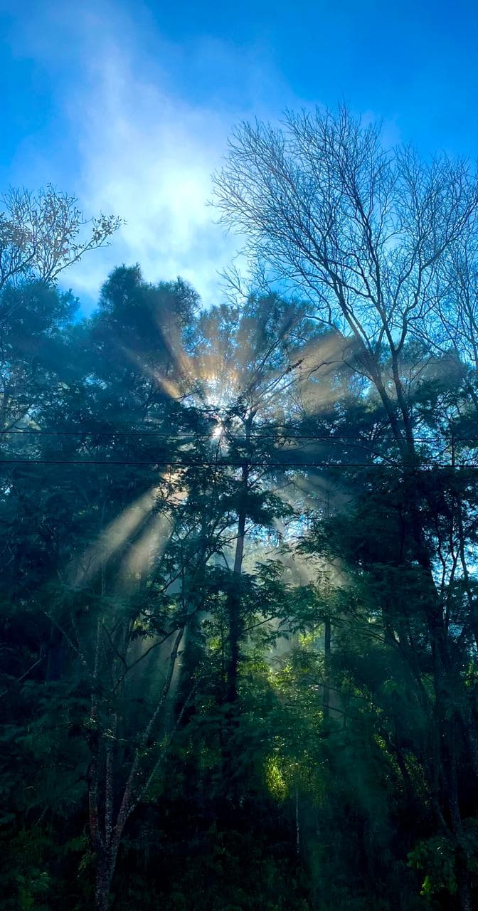 Tyndall Effect, Meghalaya, India