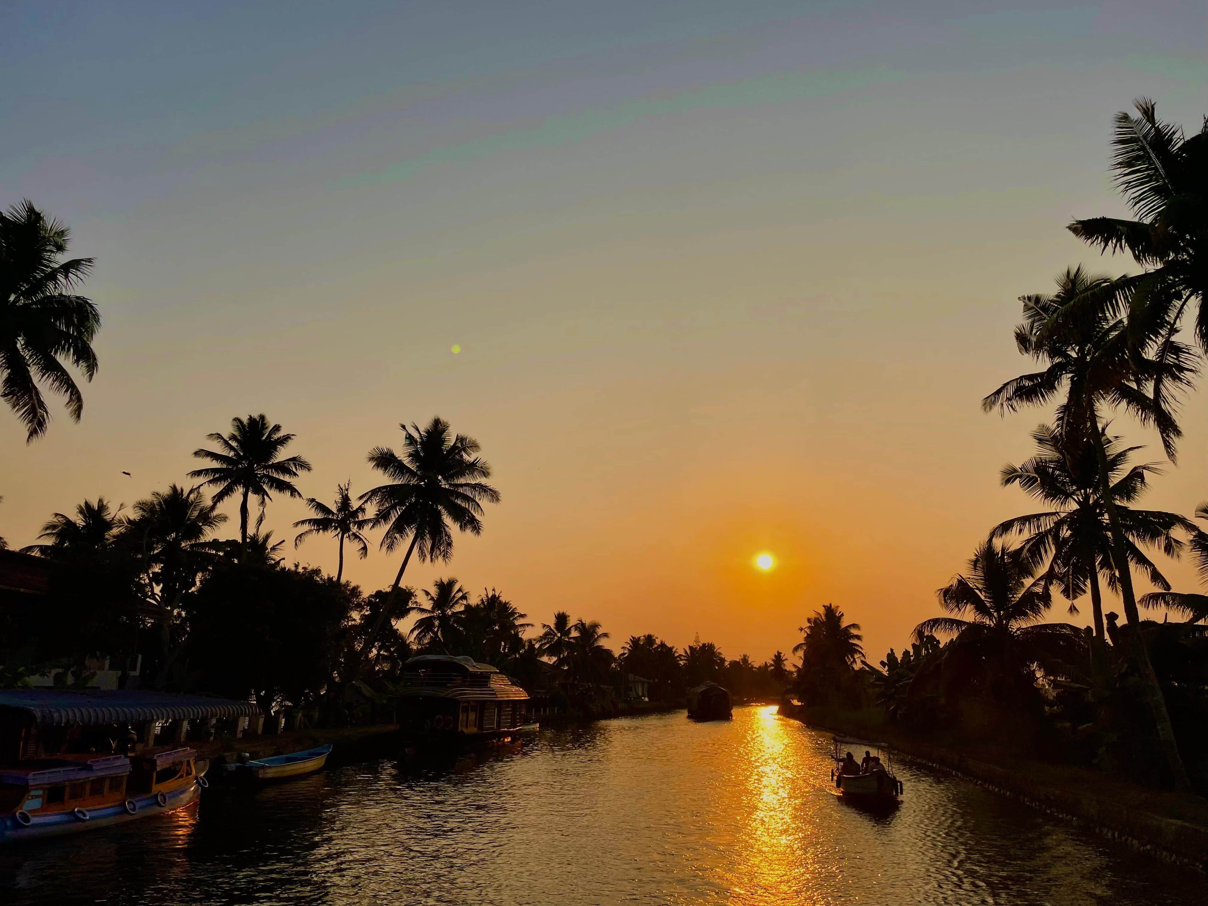 Kerala backwaters, Alleppey, Kerala, India